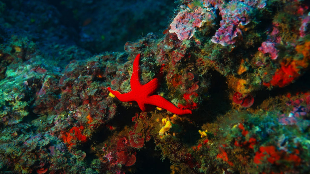 Untitled 1.14.1 Copia