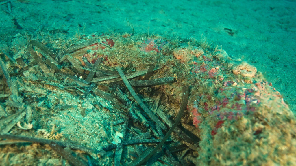 Untitled 1.21.1 Copia