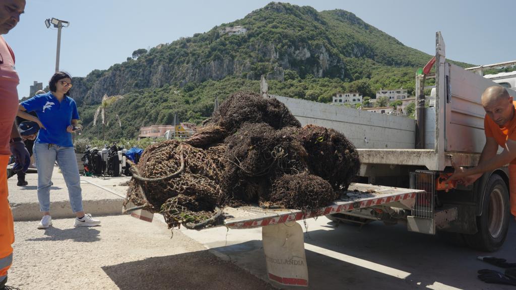 WhatsApp Image 2023 05 31 At 14.49.07