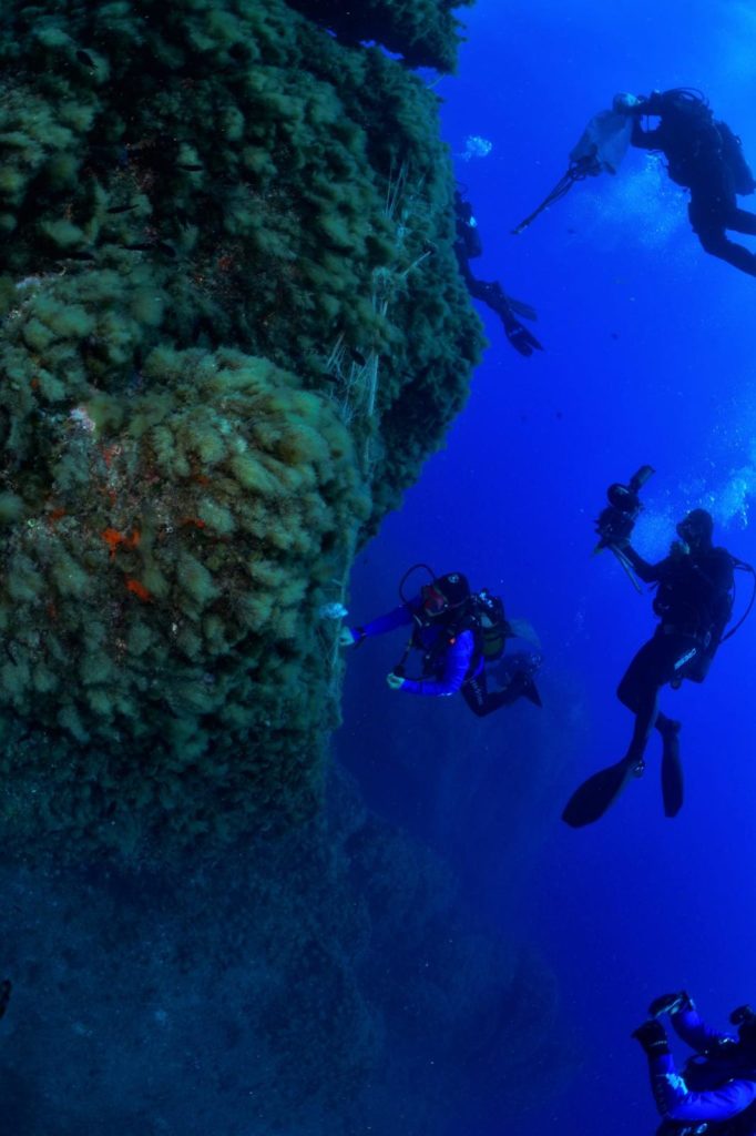 1425a9c2 0647 4d5d A1d5 9cd8cb688f47