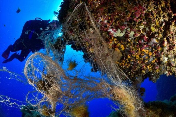 48e37649 A670 4227 8c54 9f6073f14b25