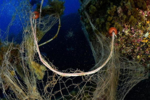 58537f43 612a 44f7 8f24 B172af813b17