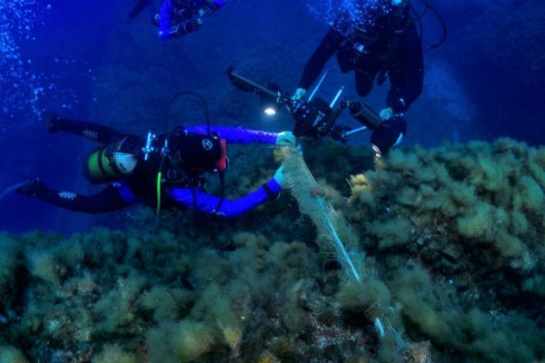 684329fa 0a1b 4d4c 9425 83a0078e290c