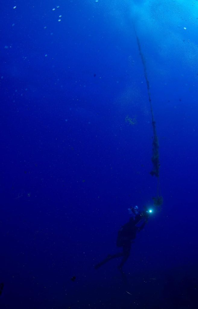 77f56c7e 7d4d 4527 A3b9 04cbeac0bd6c