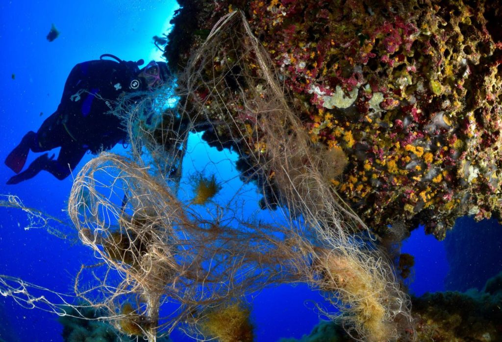 Aa4ccc93 4c6b 45ed A71a 7c26d14caacd