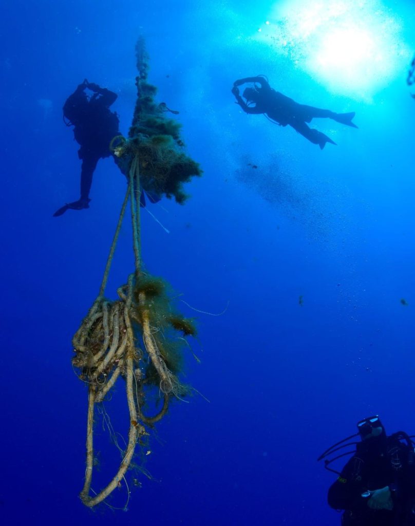 Bccd310b 45f3 43b9 B49e Cf0a0e8ff2e6