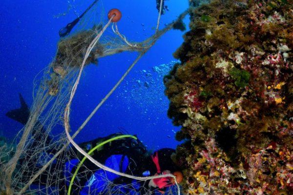 D3fbbaa5 Bd18 4e21 A028 F5546e7edf85