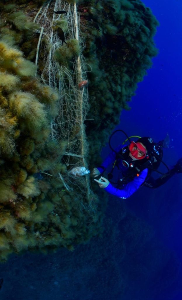 Daa84124 D9b4 4b8a 89f0 76f360630cfe