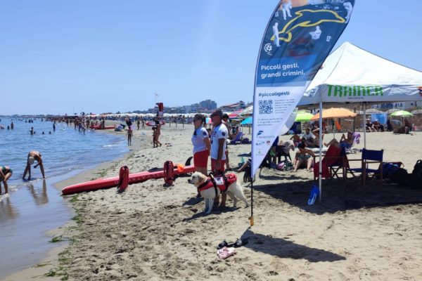 WhatsApp Image 2023 07 25 At 12.51.26