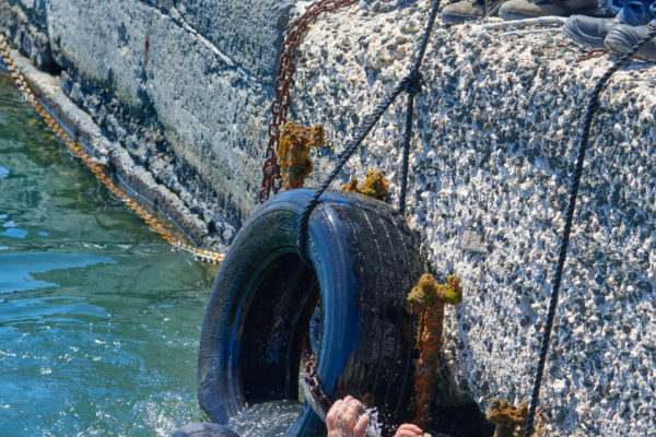 MAREVIVO PANTELLERIA 8 MAREVIVO PANTELLERIA 8