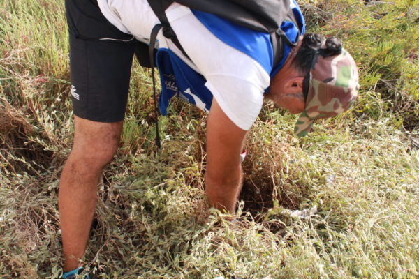 20210619171641 IMG 3148