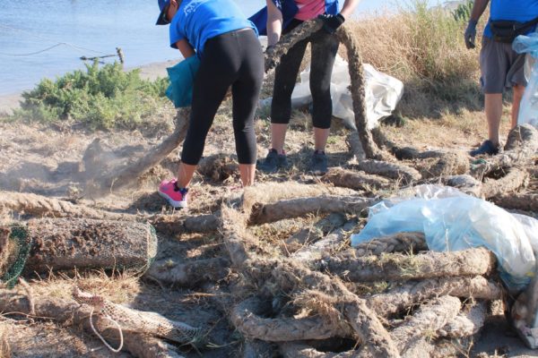 202576975 1054004325134226 5440760529493294622 N 202576975 1054004325134226 5440760529493294622 N