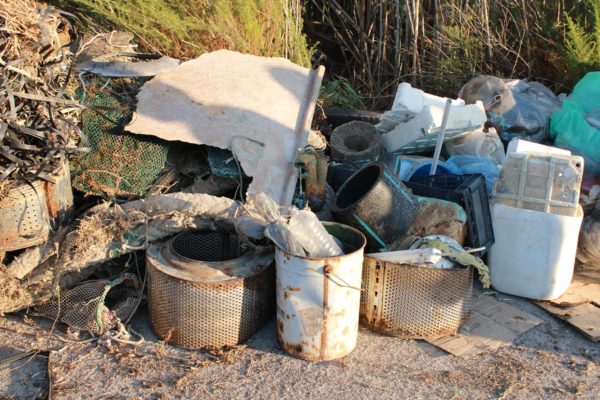 213078038 1054004638467528 4872686801353253767 N 213078038 1054004638467528 4872686801353253767 N