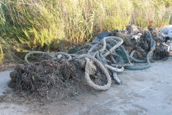 213786957 1054004708467521 3997956113732753990 N 213786957 1054004708467521 3997956113732753990 N