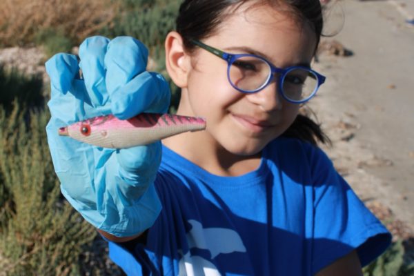 215349529 1054003751800950 2358812332028779010 N 215349529 1054003751800950 2358812332028779010 N