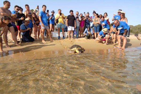 WhatsApp Image 2021 07 12 At 13.30.24 WhatsApp Image 2021 07 12 At 13.30.24