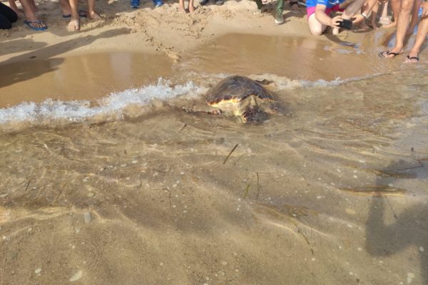 WhatsApp Image 2021 07 12 At 13.30.40 (1) WhatsApp Image 2021 07 12 At 13.30.40 (1)