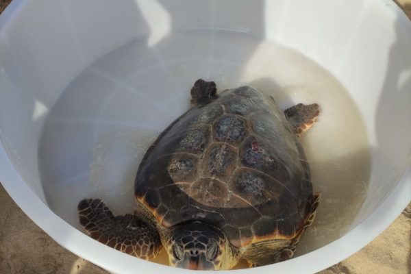 WhatsApp Image 2021 07 12 At 13.30.44 WhatsApp Image 2021 07 12 At 13.30.44