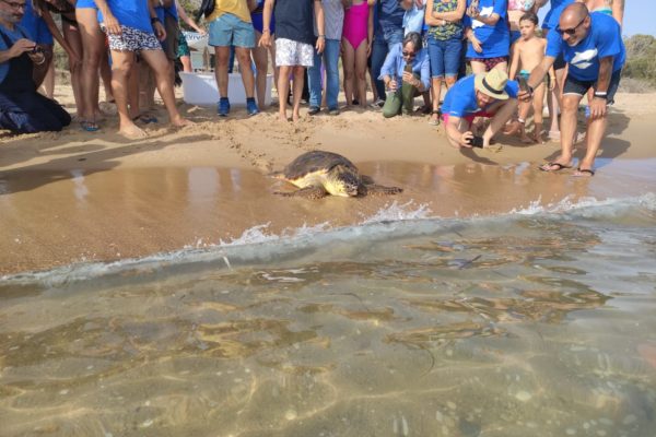 WhatsApp Image 2021 07 12 At 13.30.57 WhatsApp Image 2021 07 12 At 13.30.57