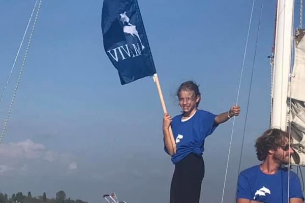 243698050 227403836088197 1401209497531700788 N