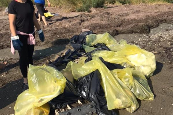 244337735 227403252754922 8407931568311980991 N