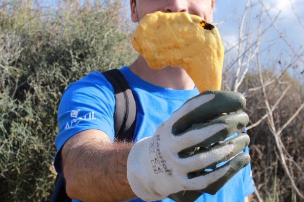 245599816 1117589045442420 3341276804098314493 N 245599816 1117589045442420 3341276804098314493 N