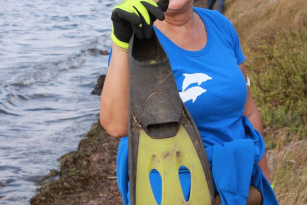 246012699 1117589432109048 7083624621984366020 N 246012699 1117589432109048 7083624621984366020 N