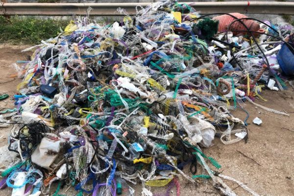 PHOTO 2021 10 24 17 49 25 PHOTO 2021 10 24 17 49 25