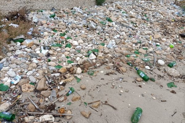 IMG20211105075420 IMG20211105075420