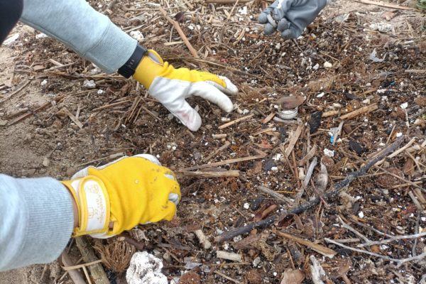 IMG20211105095230 IMG20211105095230