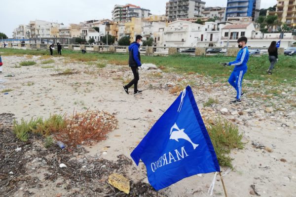 IMG 20211105 084731 IMG 20211105 084731