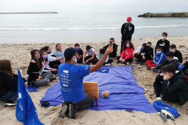 IMG 20211105 113403 IMG 20211105 113403