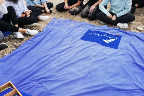 IMG 20211105 114651 IMG 20211105 114651