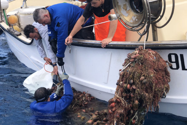 GIGLIOBLUISLAND30MAGGIO