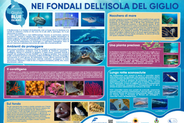 Copia Di In Questa Spiaggia Si Protegge Il Fratino