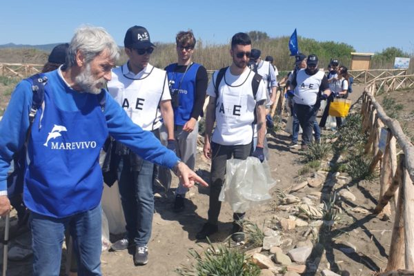 Pulizia Torre Flavia 3 Pulizia Torre Flavia 3