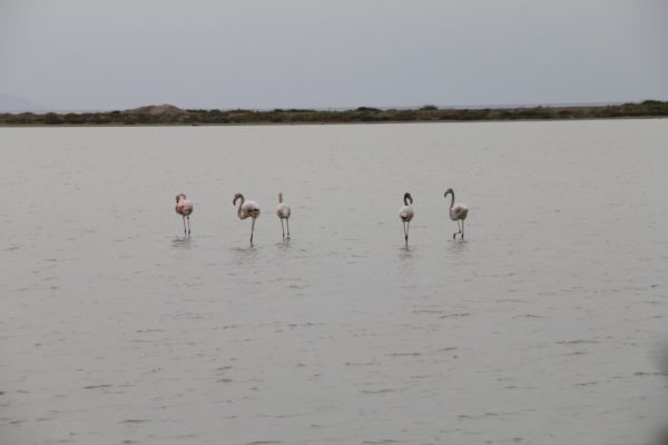 Sardegna 4.jpeg .jpg