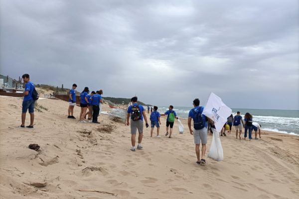 IMG20220527095318 IMG20220527095318