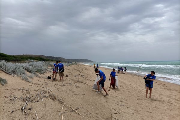 IMG20220527114451 IMG20220527114451