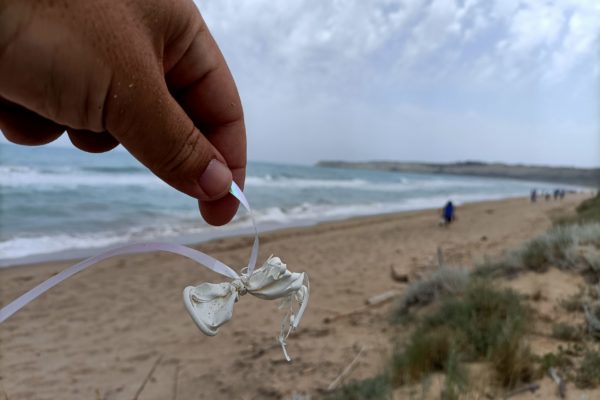 IMG20220527115758 IMG20220527115758