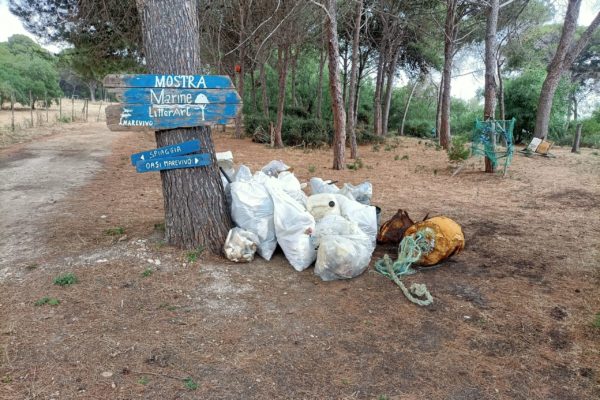 IMG20220527132202 IMG20220527132202