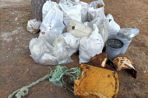 IMG20220527132207 IMG20220527132207