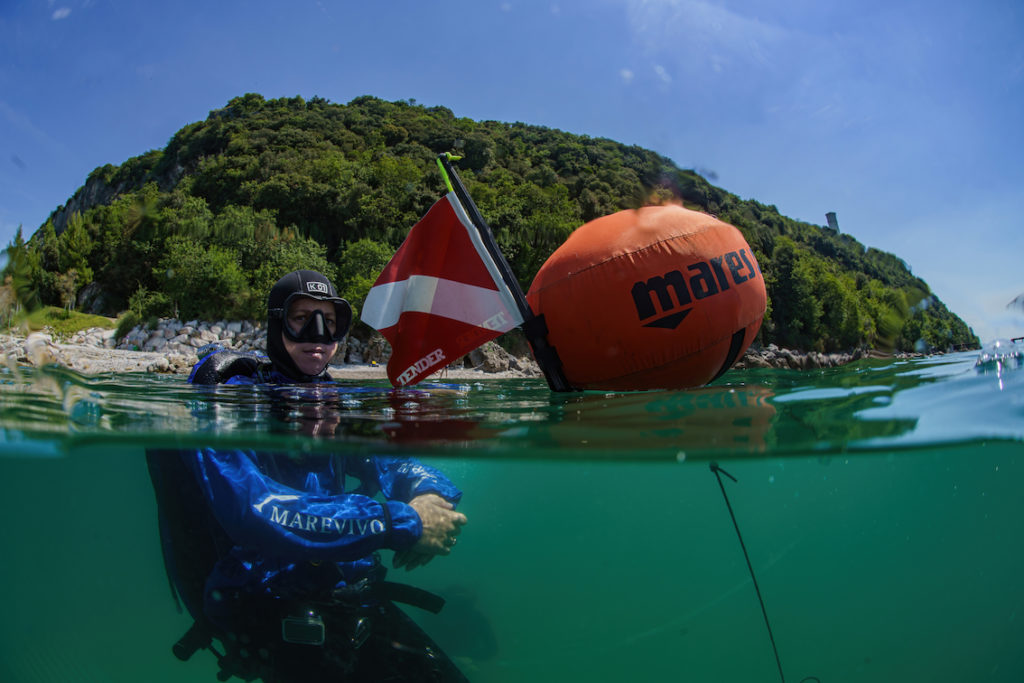 DSC9183 Sel Standard