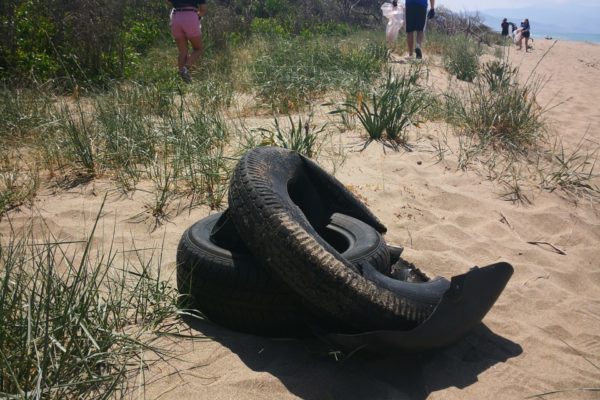 IMG 20220529 112912 IMG 20220529 112912