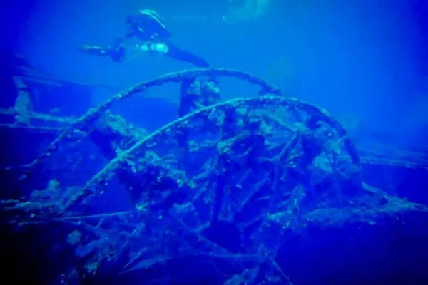 10492406_646542575441530_584831762782480505_n 10492406_646542575441530_584831762782480505_n