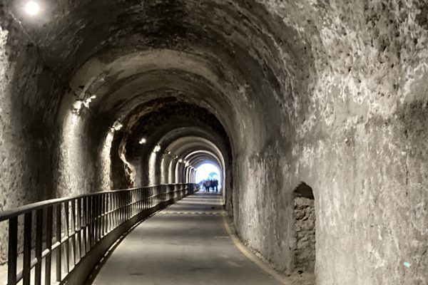 Photo 06-03-23, 09 12 31 Photo 06-03-23, 09 12 31