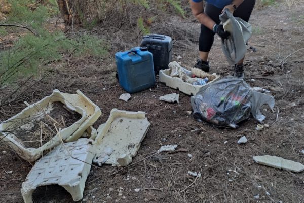 305313499 1329100984291224 6640108918682030990 N 305313499 1329100984291224 6640108918682030990 N