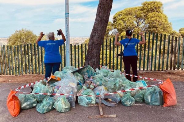 307007226 626239675580663 4489755318441683784 N