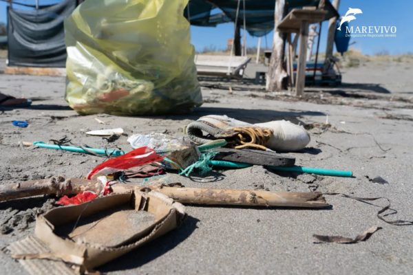 307642597 453808353447743 682500802560772430 N