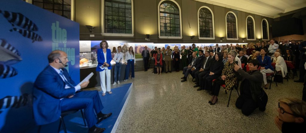 Panoramica Senza Titolo 1